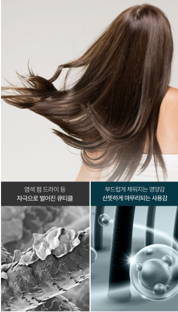 [KAHI] Moist Shine Hair Oil | Lightweight Shine, Frizz Control, Heat Protection
